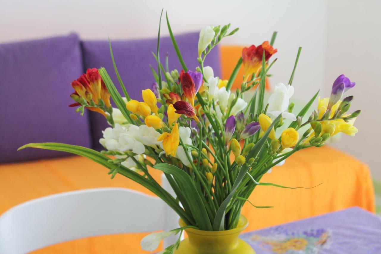 Apartments Nejasmic - Little House For Peaceful And Domestic Vacation Бол Екстериор снимка
