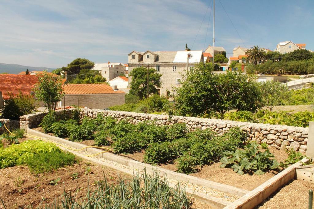 Apartments Nejasmic - Little House For Peaceful And Domestic Vacation Бол Екстериор снимка
